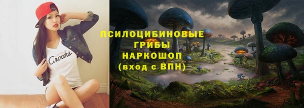 дмт Михайловск