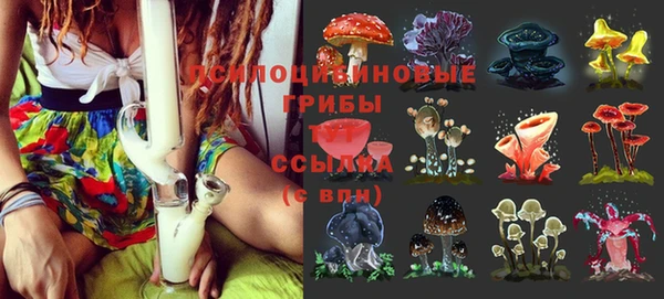 дмт Михайловск