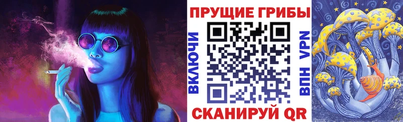 Псилоцибиновые грибы Psilocybine cubensis  закладки  гидра ссылки  Окуловка 