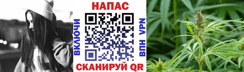 Бошки марихуана White Widow  МЕГА   Окуловка 